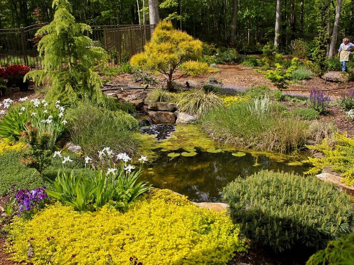 Contemporary Landscape