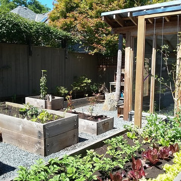 West Coast Food Forest