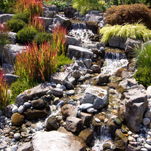 water landscaping
