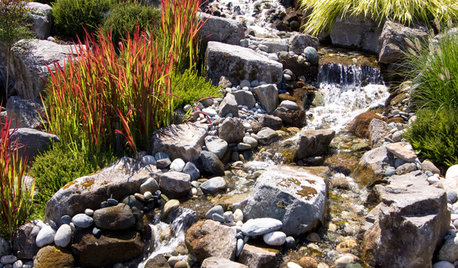 Ditch the Ordinary Ditch: Create a Realistic Dry Creek Bed