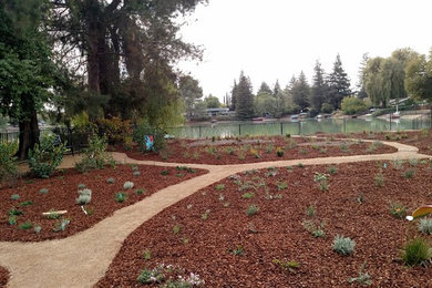 Design ideas for a landscaping in Sacramento.