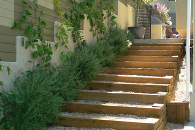 Photo of a mid-sized contemporary partial sun side yard gravel garden path in Los Angeles.