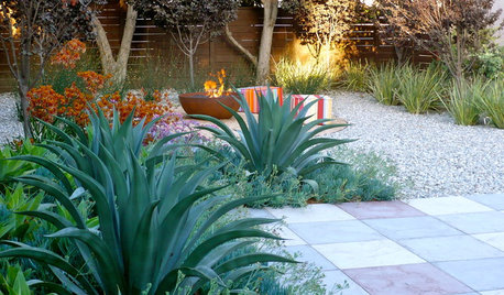 10 Hardscape Materials That Play Well With Gravel