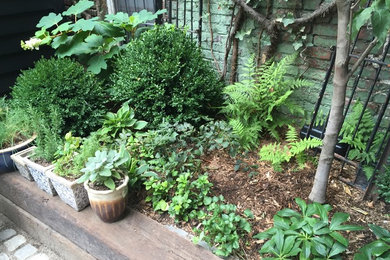 ニューヨークにあるおしゃれな庭の写真