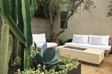 This is an example of a mid-sized modern drought-tolerant backyard gravel landscaping in Los Angeles with a fire pit.