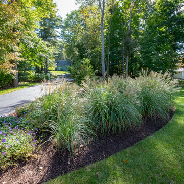 Westford Street Garden