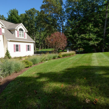 Westford Street Garden