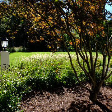 Westford Street Garden