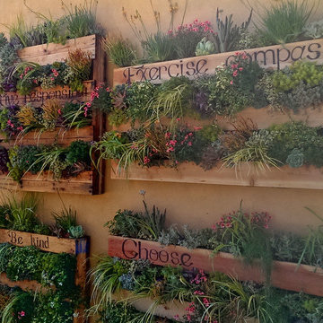 Whimsical Greenwall