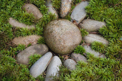 Whimsical Moss Art in Your Landscape