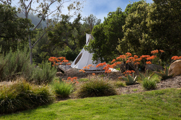 Amerikanischer Südwesten Garten by Margie Grace - Grace Design Associates