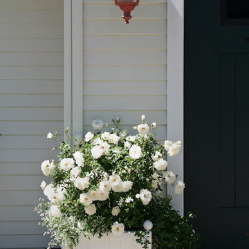 White Roses, White Classic Container