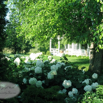 White Theme Garden in Warwick, NY