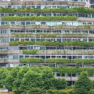 Why Misunderstandings About Green Roofs Exist