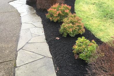 olympia wa landscapers