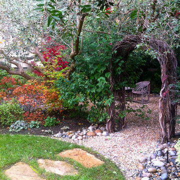 Willow Arch in a Palo Alto Garden