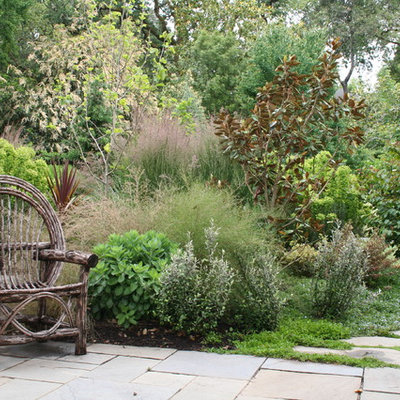 Photo of a large eclectic backyard stone landscaping in San Francisco.