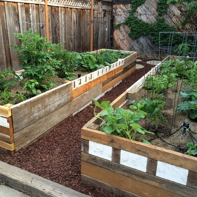 Inspiration for a farmhouse landscaping in San Francisco.