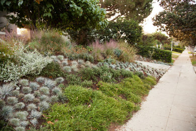 Inspiration for a mid-sized craftsman drought-tolerant and full sun front yard landscaping in Los Angeles.