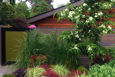 This is an example of a contemporary full sun front yard landscaping in Seattle for spring.