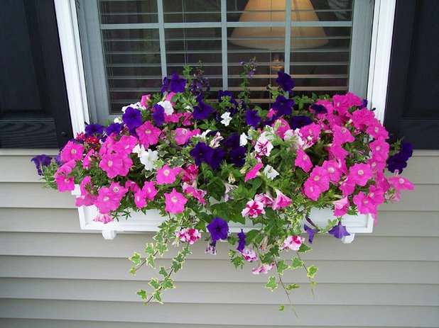 How to Plant a Beautiful, Thriving Window Box Garden