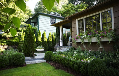 9 Low-Growing Hedges That Make Good Neighbors