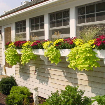 Window Boxes and Containers