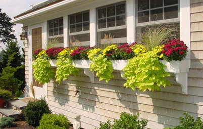 Charm Up Your House With Windowboxes