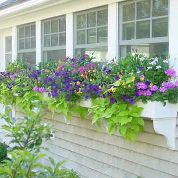 Window Boxes and Containers