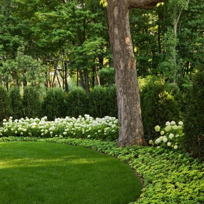 Inspiration for a traditional shade backyard landscaping in Minneapolis.