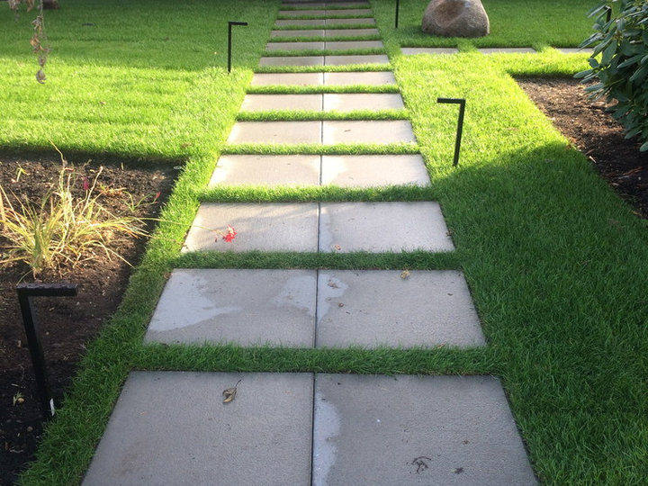 Concrete Pavers - Contemporary Landscape