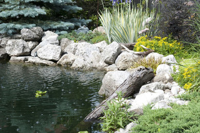 This is an example of a garden in Toronto.