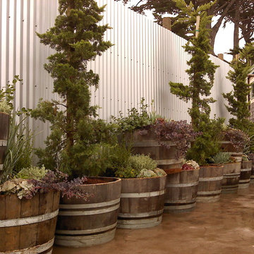 Wine Barrels against Corrugated Wall