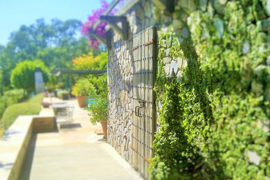 Inspiration for a large mediterranean side yard landscaping in San Francisco.