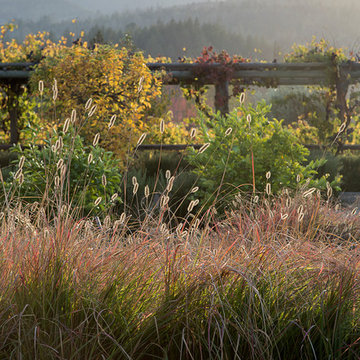 Wine Country Retreat