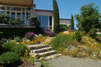Photo of a mediterranean landscaping in San Francisco.