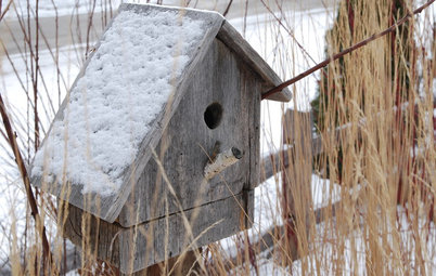 Conseils de pro pour abriter les oiseaux pendant l’hiver
