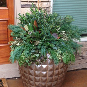 Winter Container Planting