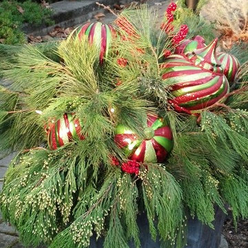 Winter Holiday Container Gardens