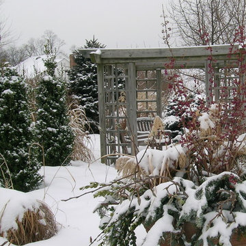 Winter In The Garden