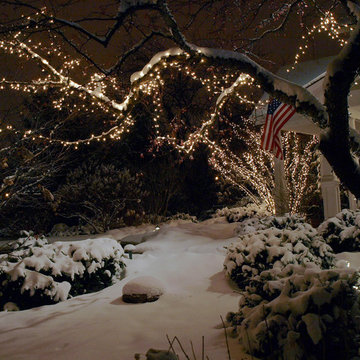 Winter Landscape Lighting
