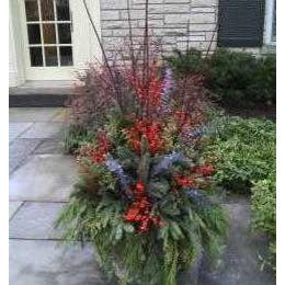 https://www.houzz.com/hznb/photos/winter-outdoor-pot-and-planters-garden-arrangement-winnetka-illinois-traditional-landscape-chicago-phvw-vp~3446301