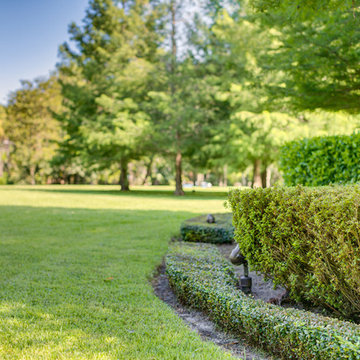 Winter Park Landscaping