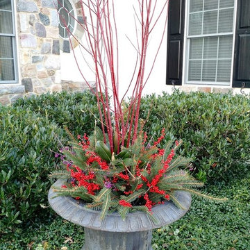 Winter Planters