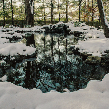 Winter pond