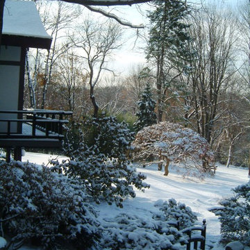 Winter view across back yard in Japanese garden
