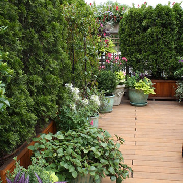 Wisteria & Rose roof deck designs. Visit www.wisteriaandrose.com for more info!