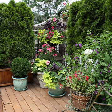 Wisteria & Rose roof deck designs. Visit www.wisteriaandrose.com for more info!