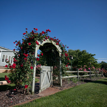Witherspoon Rose Garden