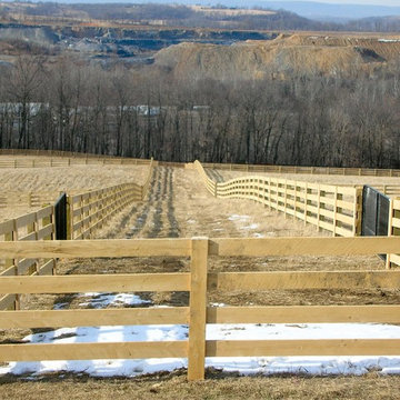 Wood 4-Rail Horse Fence